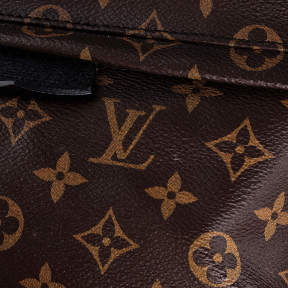 Louis Vuitton Palm Springs Backpack Monogram Canvas MM