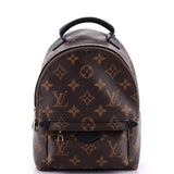 Louis Vuitton Palm Springs Backpack Monogram Canvas Mini