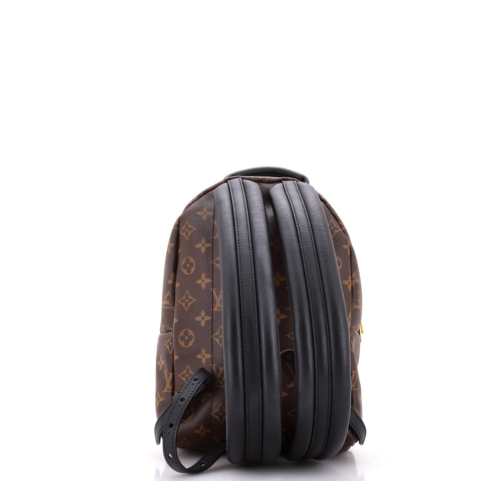 Louis Vuitton Palm Springs Backpack Reverse Monogram Canvas PM
