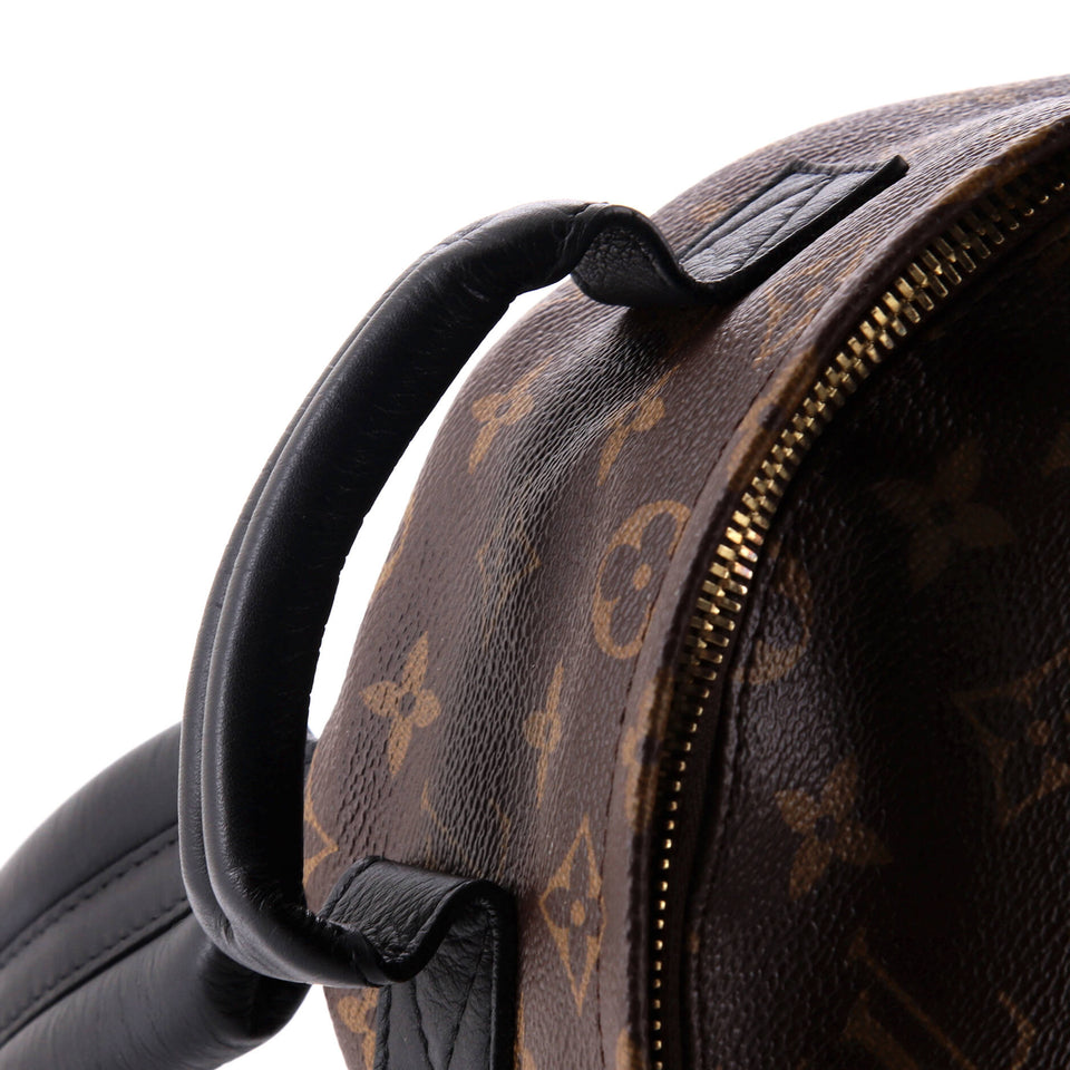 Louis Vuitton Palm Springs Backpack Reverse Monogram Canvas PM
