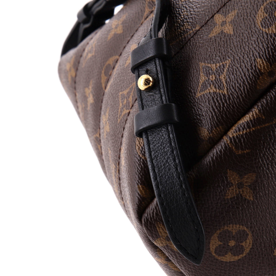 Louis Vuitton Palm Springs Backpack Reverse Monogram Canvas PM