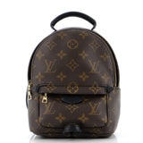 Louis Vuitton Palm Springs Backpack Monogram Canvas Mini