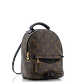 Louis Vuitton Palm Springs Backpack Monogram Canvas Mini