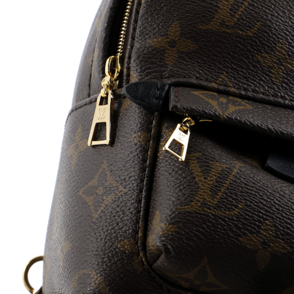 Louis Vuitton Palm Springs Backpack Monogram Canvas Mini