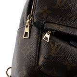 Louis Vuitton Palm Springs Backpack Monogram Canvas Mini