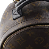 Louis Vuitton Palm Springs Backpack Monogram Canvas Mini