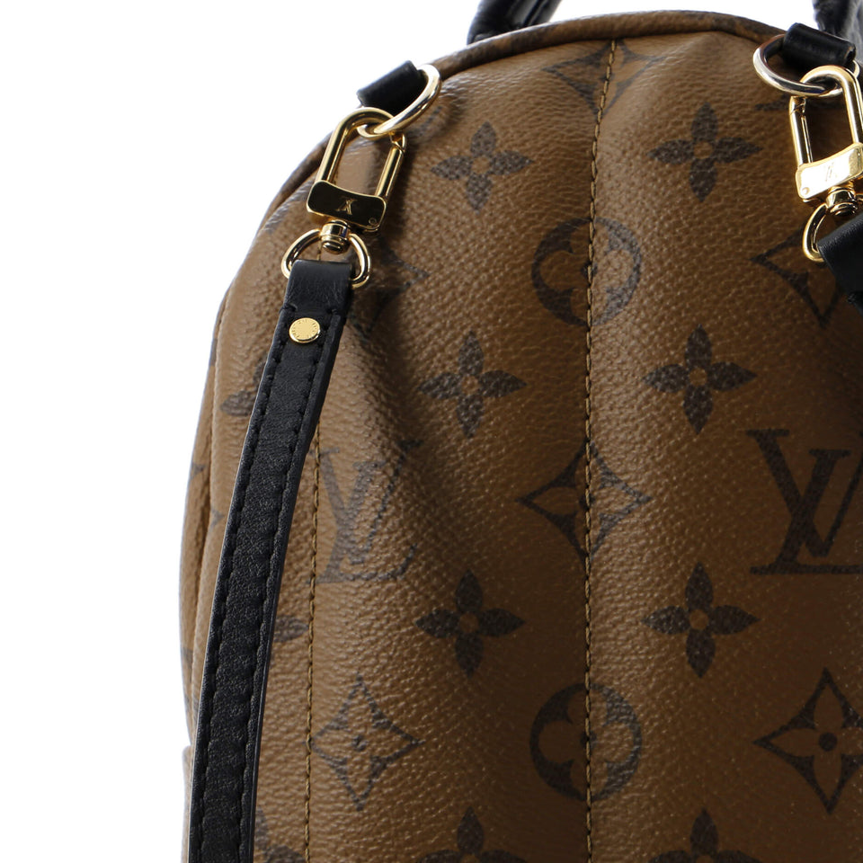 Louis Vuitton Palm Springs Backpack Reverse Monogram Canvas Mini