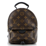 Louis Vuitton Palm Springs Backpack Monogram Canvas Mini