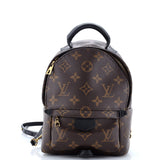 Louis Vuitton Palm Springs Backpack Monogram Canvas Mini