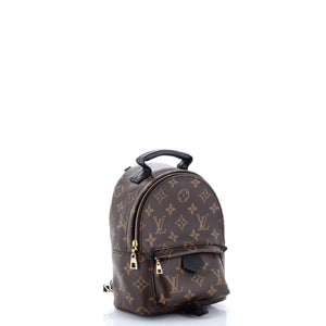 Louis Vuitton Palm Springs Backpack Monogram Canvas Mini
