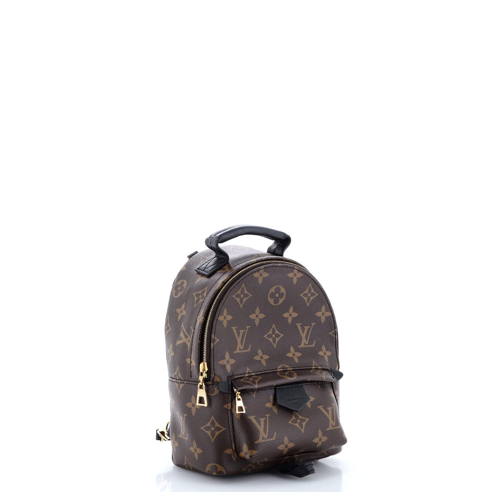 Louis Vuitton Palm Springs Backpack Monogram Canvas Mini