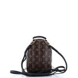 Louis Vuitton Palm Springs Backpack Monogram Canvas Mini