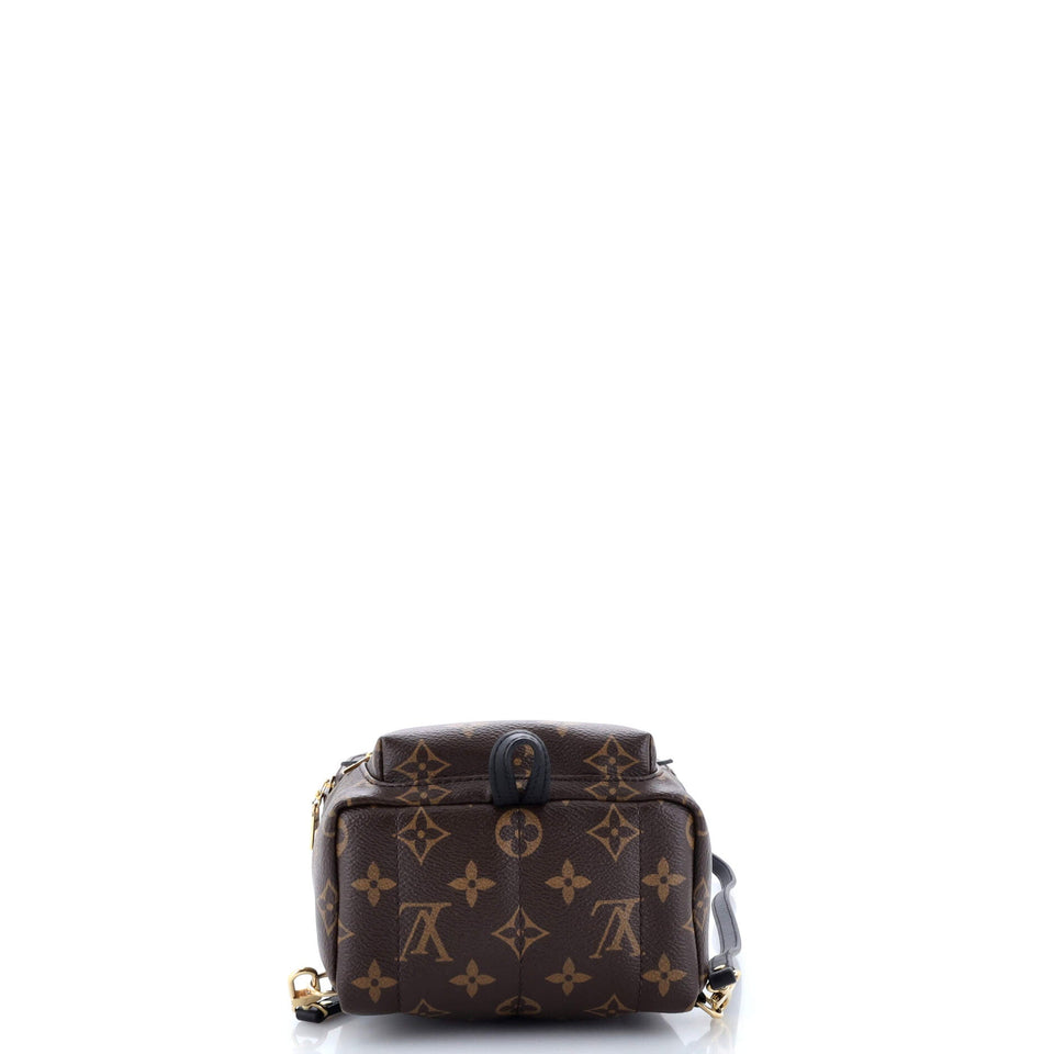 Louis Vuitton Palm Springs Backpack Monogram Canvas Mini
