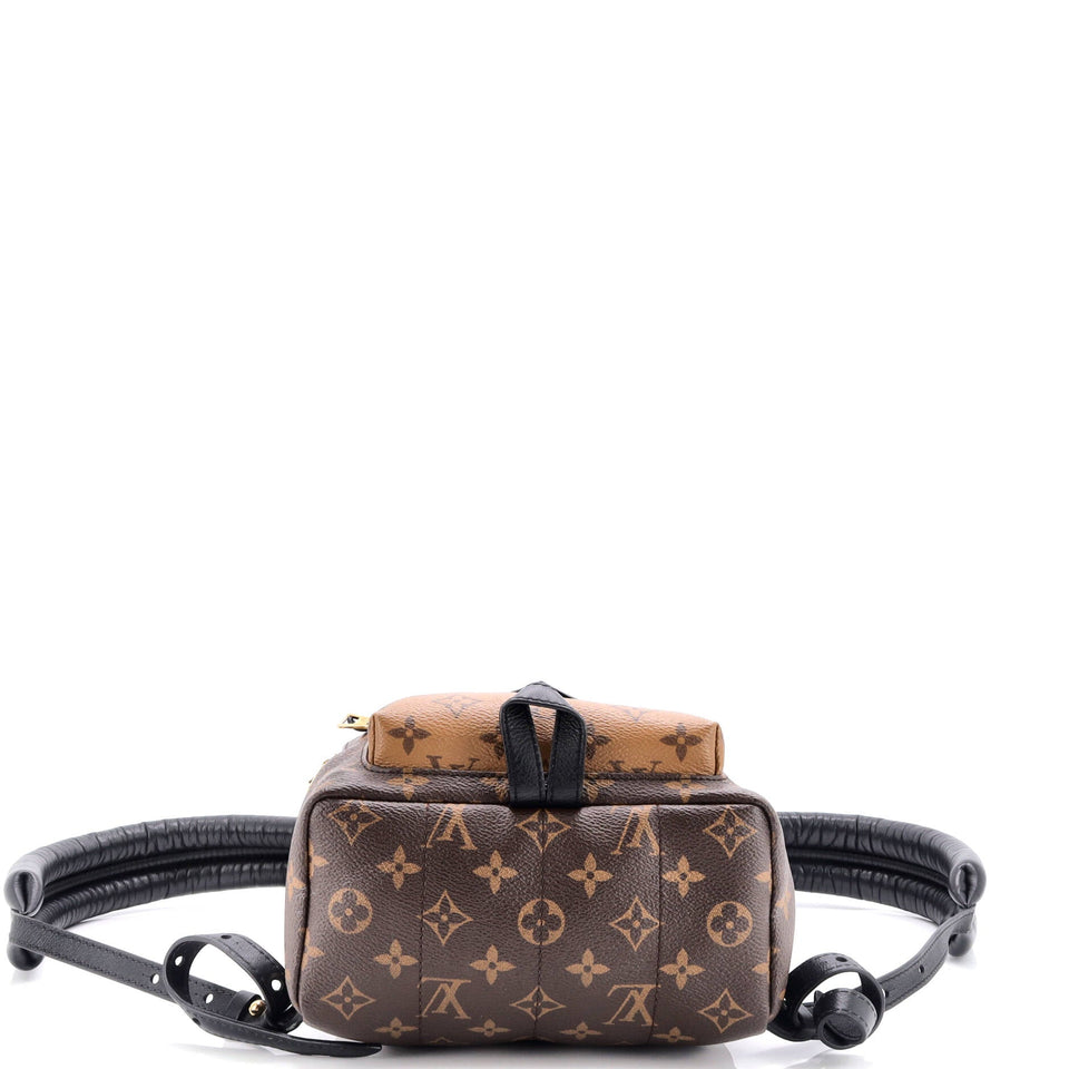 Louis Vuitton Palm Springs Backpack Reverse Monogram Canvas PM
