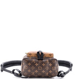 Louis Vuitton Palm Springs Backpack Reverse Monogram Canvas PM