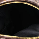 Louis Vuitton Palm Springs Backpack Reverse Monogram Canvas PM