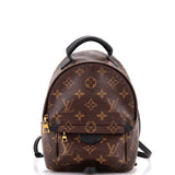 Louis Vuitton Palm Springs Backpack Monogram Canvas Mini