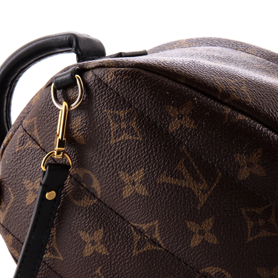 Louis Vuitton Palm Springs Backpack Monogram Canvas Mini