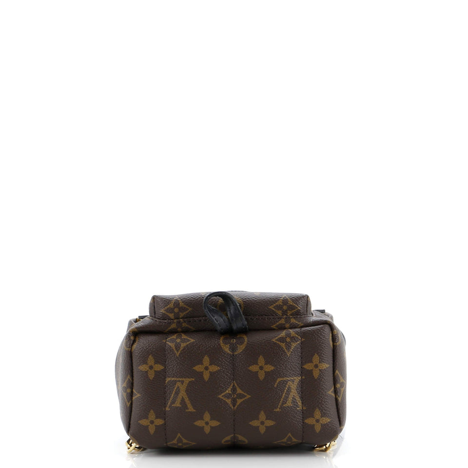 Louis Vuitton Palm Springs Backpack Monogram Canvas Mini