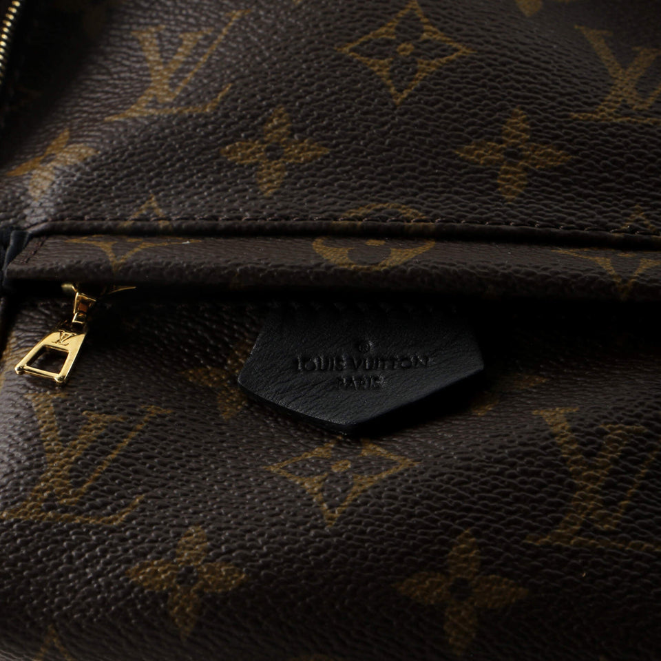 Louis Vuitton Palm Springs Backpack Monogram Canvas Mini