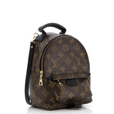 Louis Vuitton Palm Springs Backpack Monogram Canvas Mini