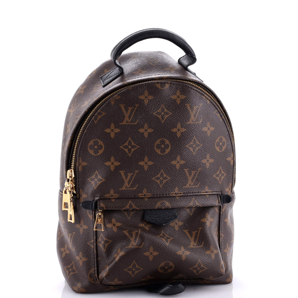 Louis Vuitton Palm Springs Backpack Monogram Canvas PM