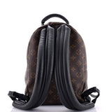 Louis Vuitton Palm Springs Backpack Monogram Canvas PM