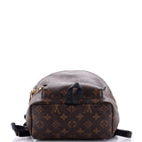 Louis Vuitton Palm Springs Backpack Monogram Canvas PM