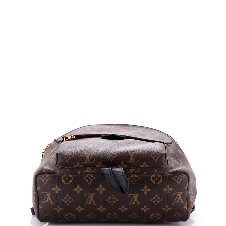 Louis Vuitton Palm Springs Backpack Monogram Canvas MM