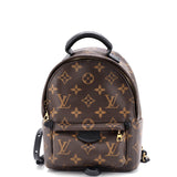 Louis Vuitton Palm Springs Backpack Monogram Canvas Mini