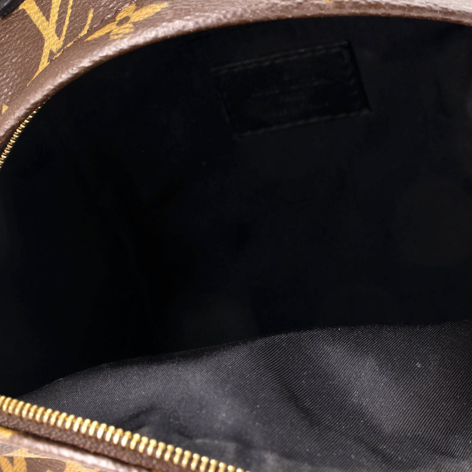 Louis Vuitton Palm Springs Backpack Monogram Canvas Mini