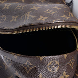 Louis Vuitton Palm Springs Backpack Monogram Canvas PM