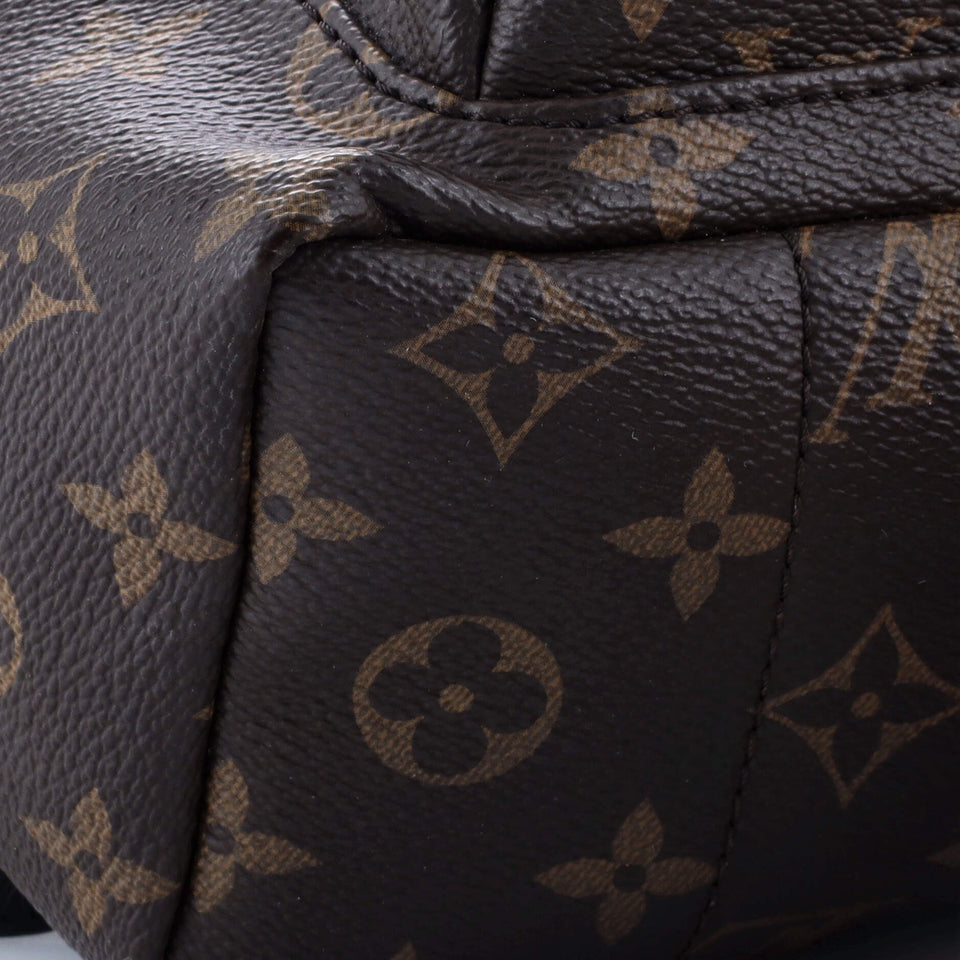 Louis Vuitton Palm Springs Backpack Monogram Canvas PM