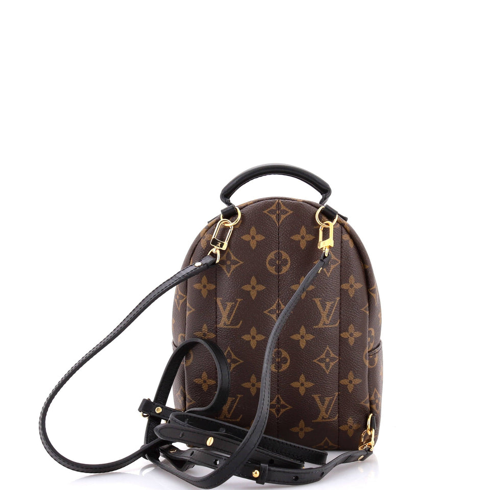 Louis Vuitton Palm Springs Backpack Monogram Canvas Mini