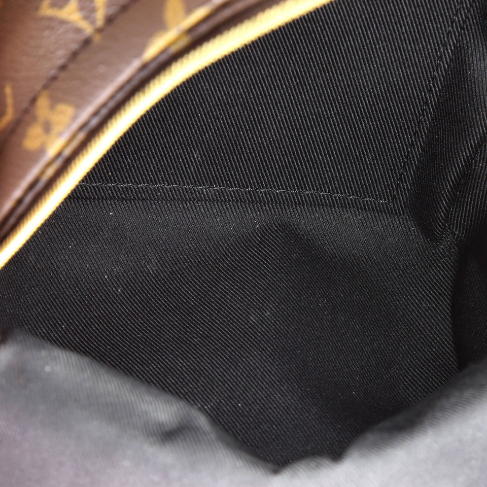 Louis Vuitton Palm Springs Backpack Monogram Canvas Mini
