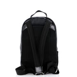 Louis Vuitton Michael Backpack Damier Graphite