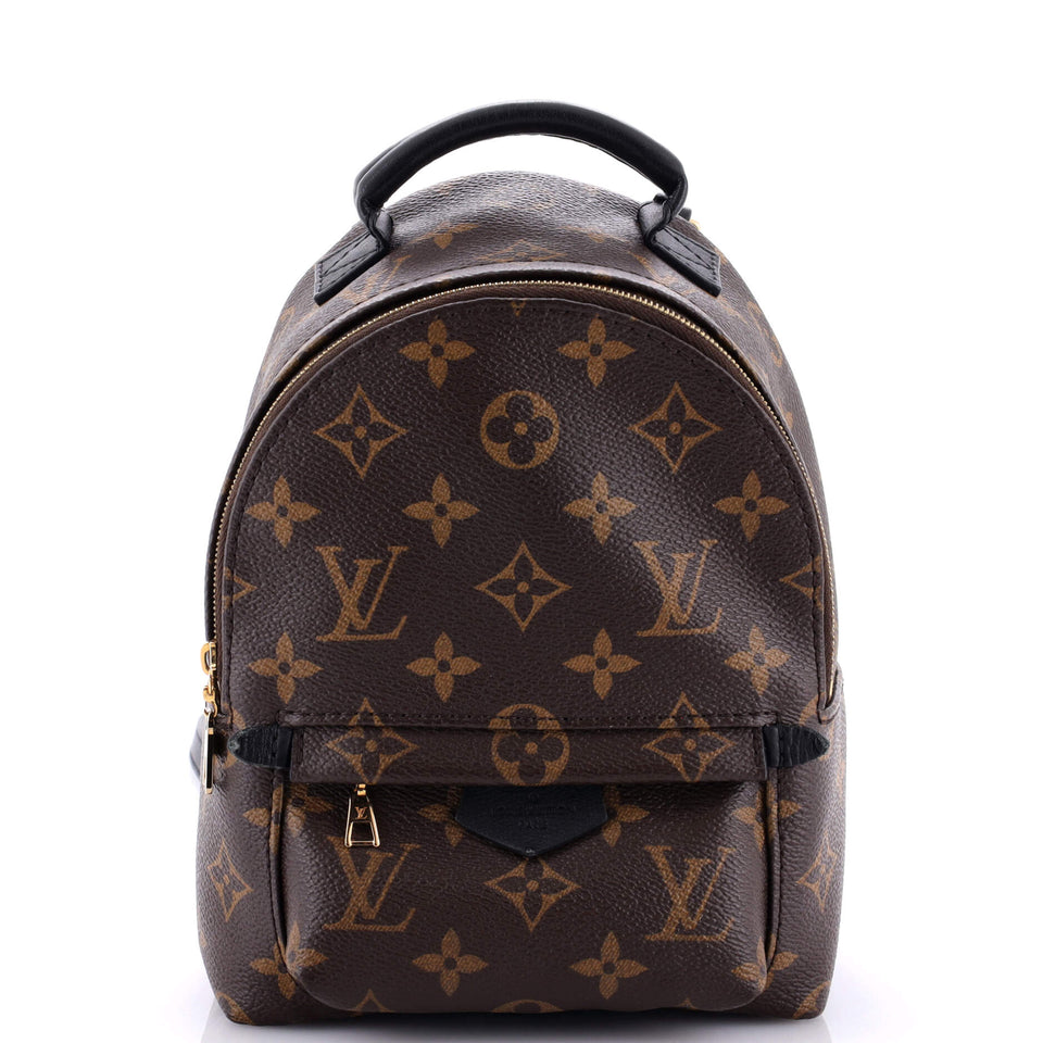 Louis Vuitton Palm Springs Backpack Monogram Canvas Mini