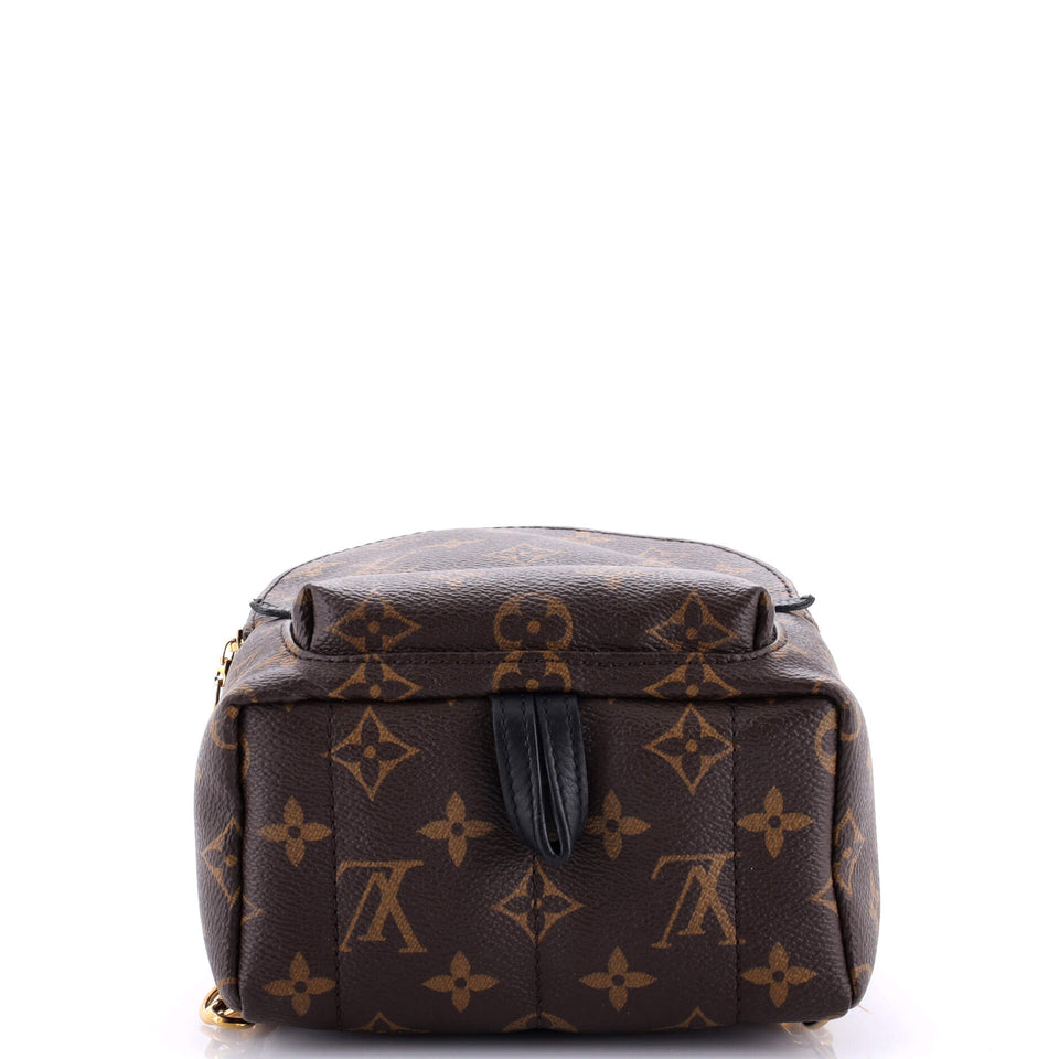 Louis Vuitton Palm Springs Backpack Monogram Canvas Mini