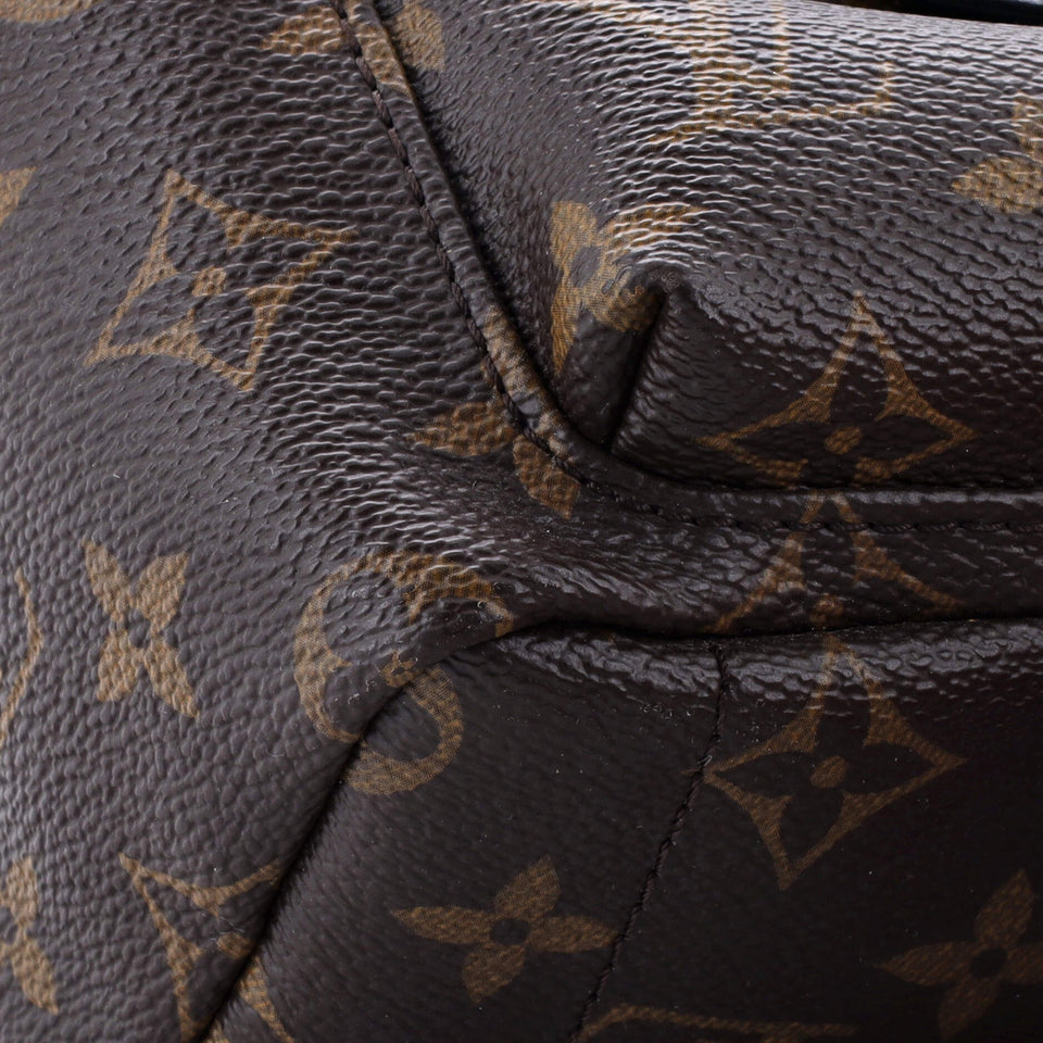 Louis Vuitton Palm Springs Backpack Monogram Canvas Mini