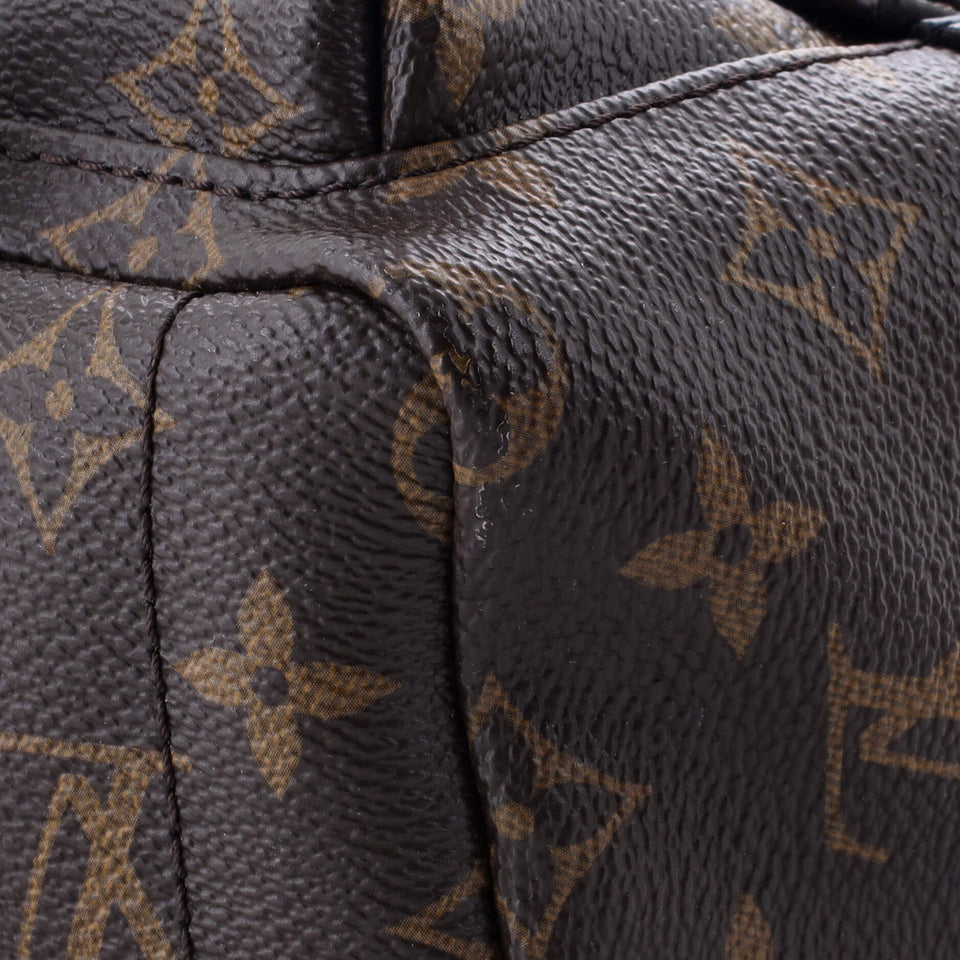 Louis Vuitton Palm Springs Backpack Monogram Canvas Mini