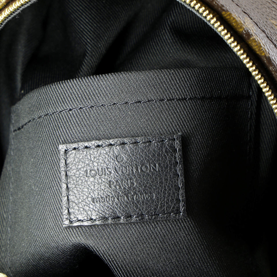 Louis Vuitton Palm Springs Backpack Monogram Canvas Mini