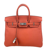 Hermes Togo Birkin 25