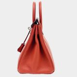 Hermes Togo Birkin 25