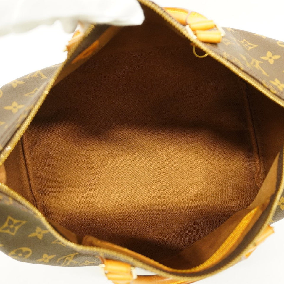 Louis Vuitton Monogram Handbag