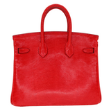 Hermes25cm Birkin Rouge Exotic Lizard Gold Hardware