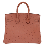 Hermes25cm Birkin Terre Cuite Ostrich Gold Hardware