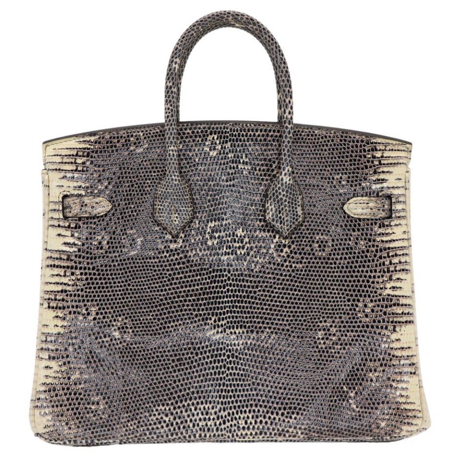 Hermes25cm Birkin Ombre Lizard Palladium Hardware