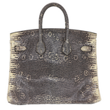 Hermes25cm Birkin Ombre Lizard Palladium Hardware