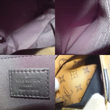 Louis Vuitton Monogram Reverse Palm Springs Backpack PM Rucksack
