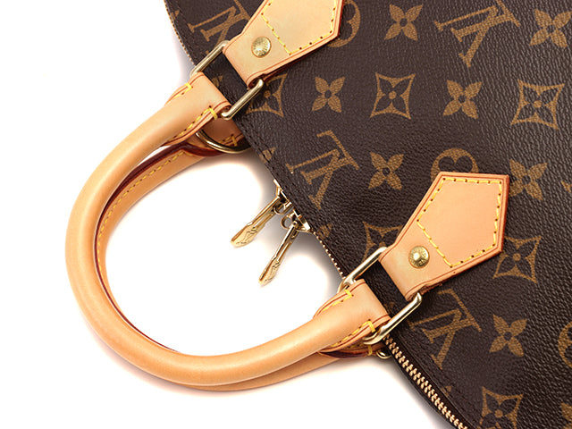 Louis Vuitton Handbag Alma Monogram